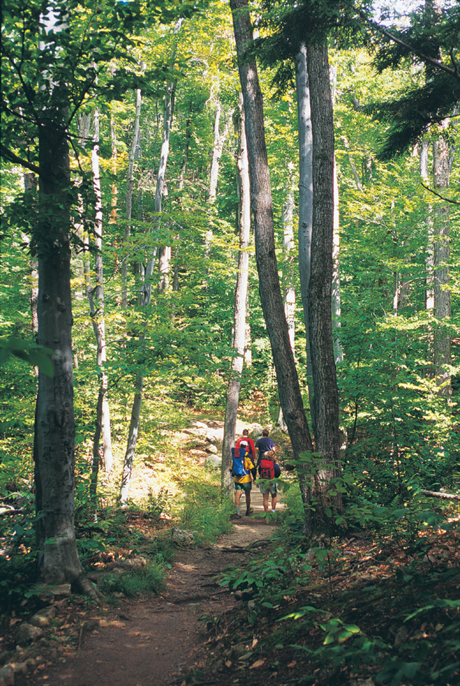 Crédit: Parc de la Gatineau
