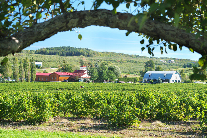 Crédit: Vignoble de l'Orpailleur 