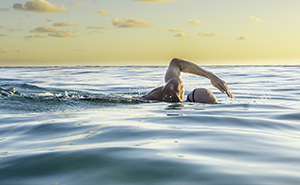 Normand piché qui nage dans la mer