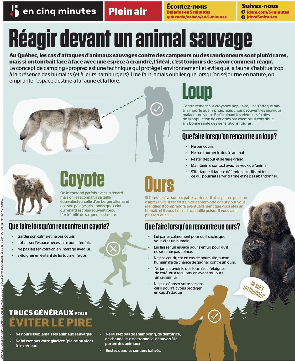 Conseils, Comment réagir face à un animal sauvage?