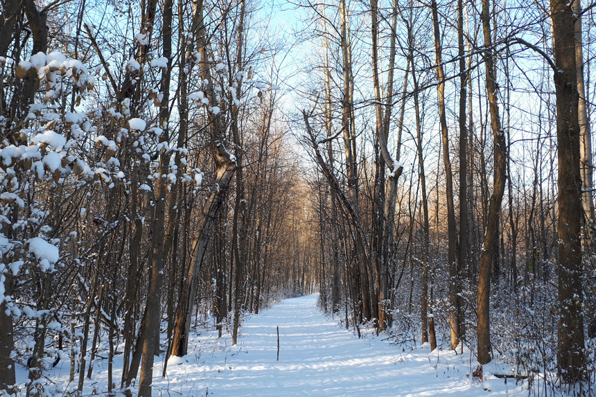 Ski De Fond Gratuit Au Québec Espaces