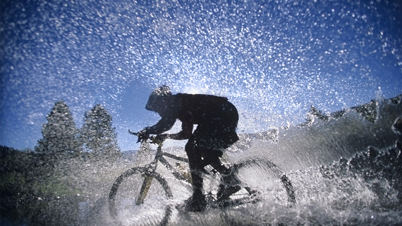 Crédit: bikeriderlondon, Shutterstock