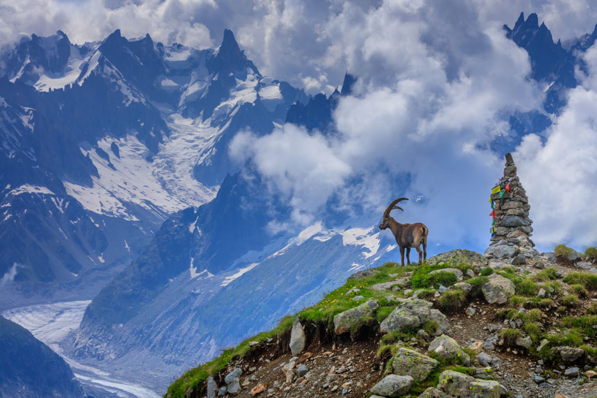 livre sur le tour du mont blanc