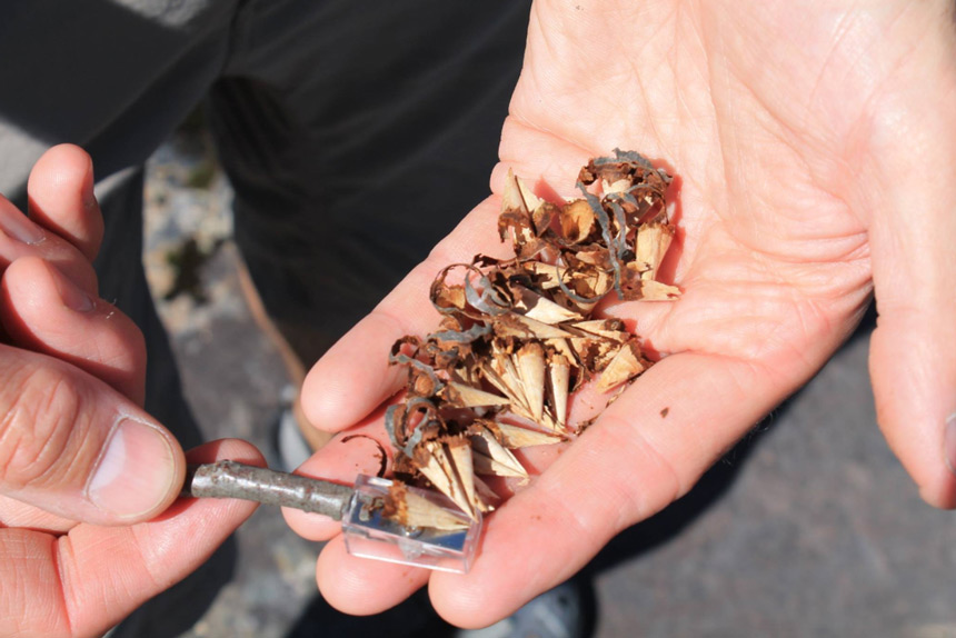 Aiguisoire et copeaux de bois  Survie Borale