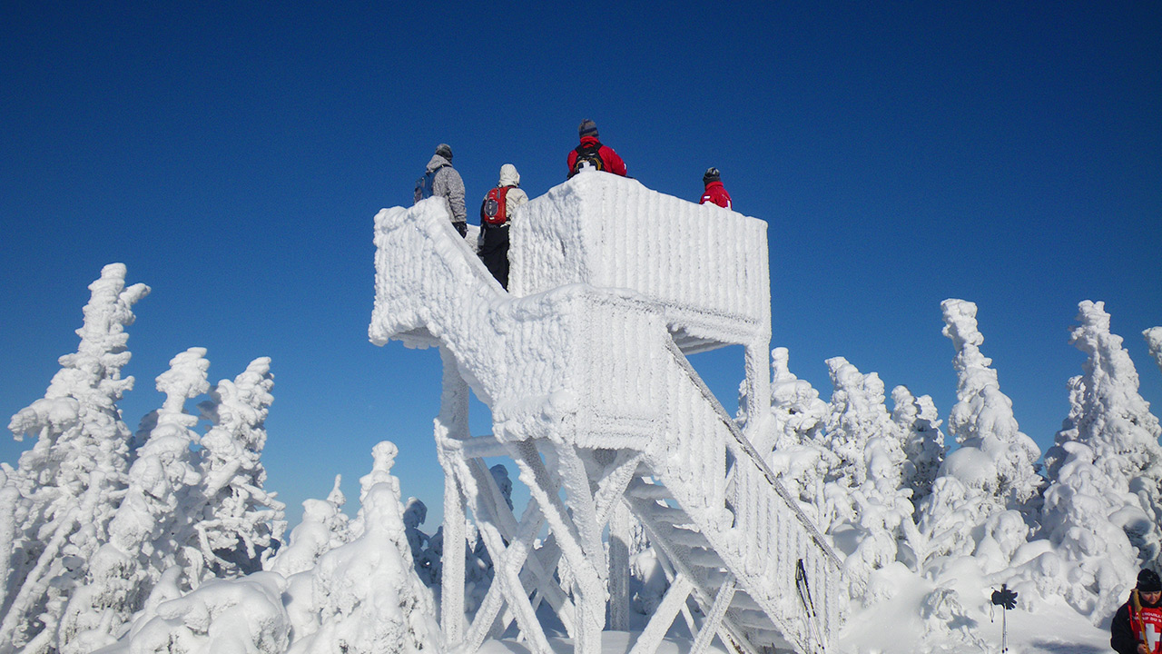 Crdit : Parc du Massif du Sud