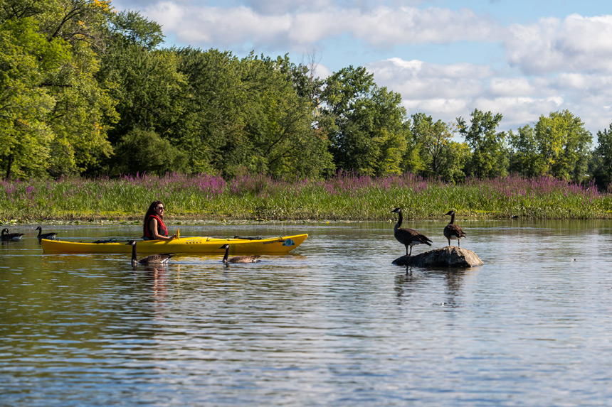 Kayak au parc de la Rivière-des-Mille-Iles © André Chevrier