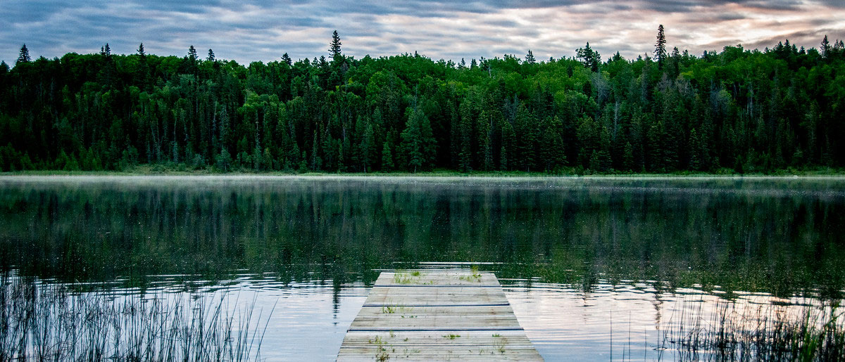 Crédit : Shutterstock Crédit : Shutterstock