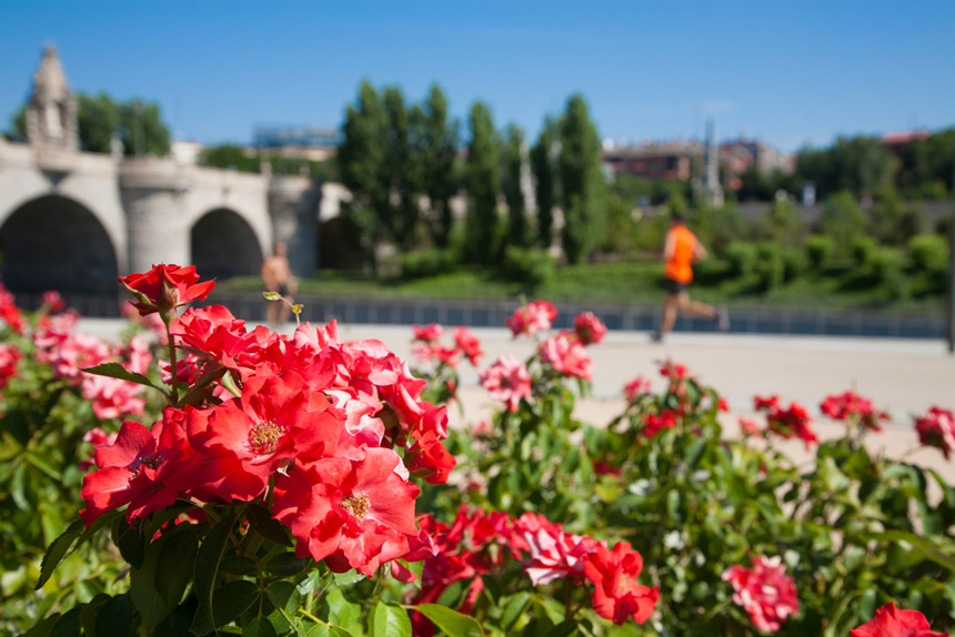 Course à pied à Madrid © Quantanilla - Shutterstock