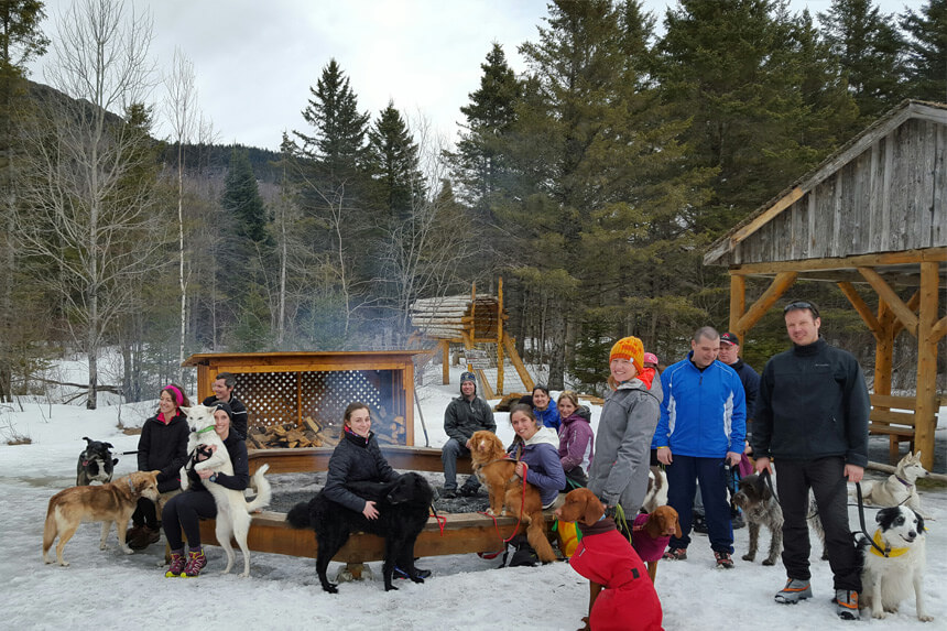 Randonnée avec son chien au Mont-Ham © Sylvain Valiquette